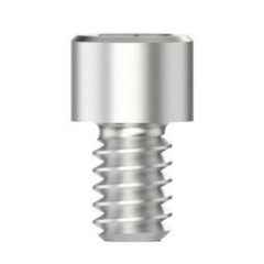 Bridge Screw Hex