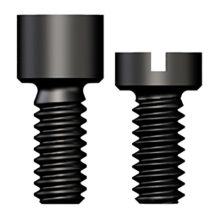Lab Bridge Screw, hex and slot