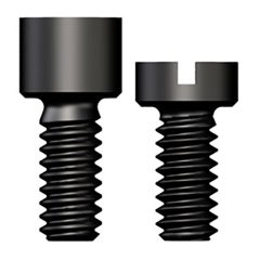 Lab Bridge Screw, hex and slot
