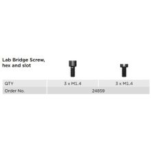 Lab Bridge Screw, hex and slot