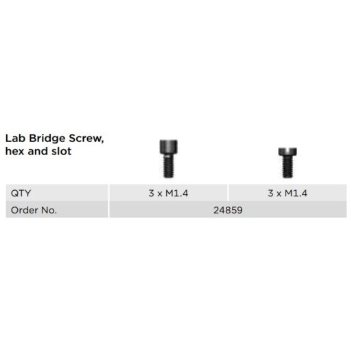 Lab Bridge Screw, hex and slot