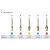 Cortical Drill EV
