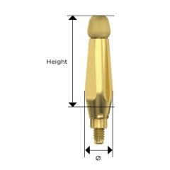 Implant Transfer Short
