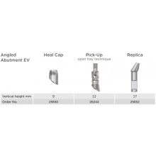 Angled Abutment EV Replica