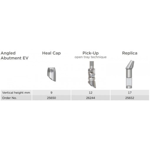 Angled Abutment EV Replica