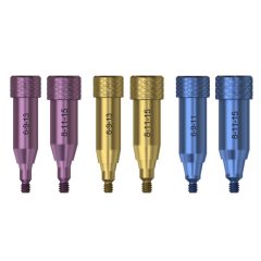 EV-Stabilization Abutment