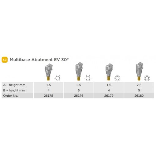 Multibase EV M 4.2