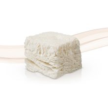 OSSIX Bone