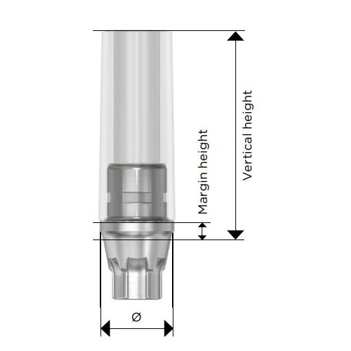 CastDesign EV (1 mm)