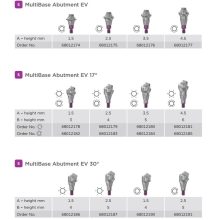 Multibase Abutment EV S - 17°