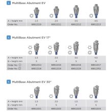 Multibase Abutment EV L - 30°