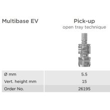 Multibase EV Pick-Up