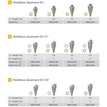 Multibase Abutment EV M - 17°