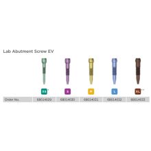 Lab Abutment Screw EV (4 db)